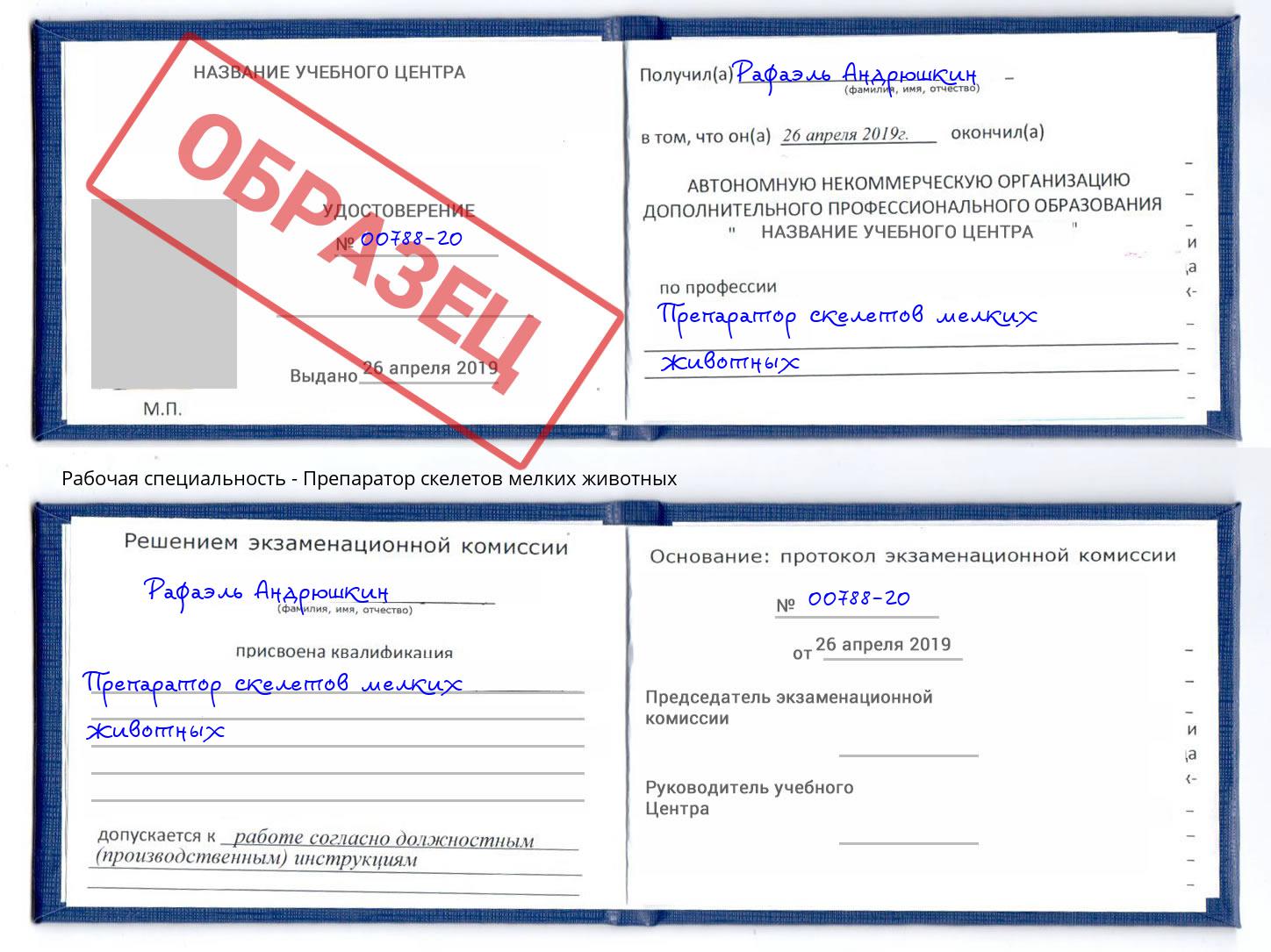 Препаратор скелетов мелких животных Кызыл