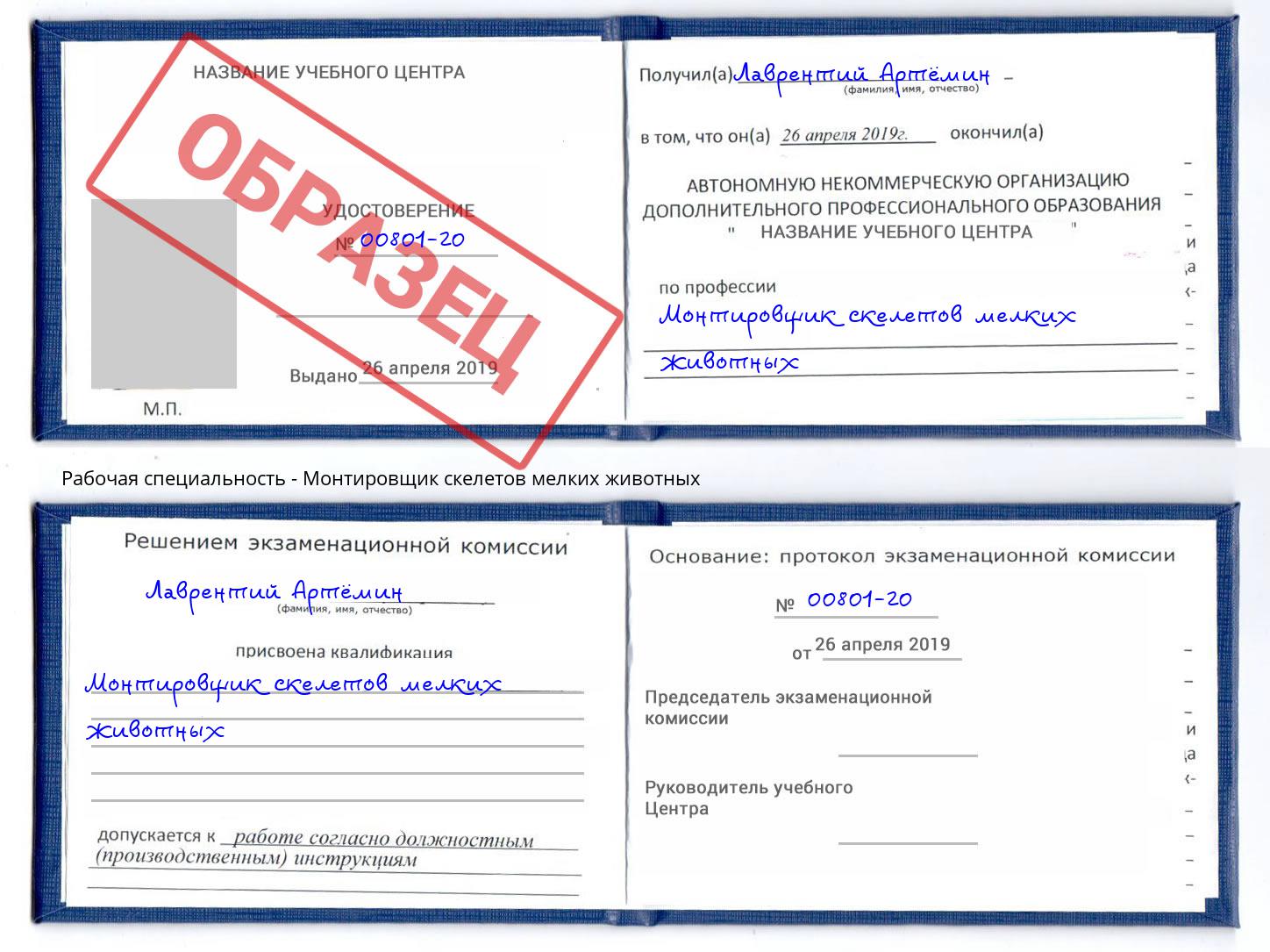 Монтировщик скелетов мелких животных Кызыл