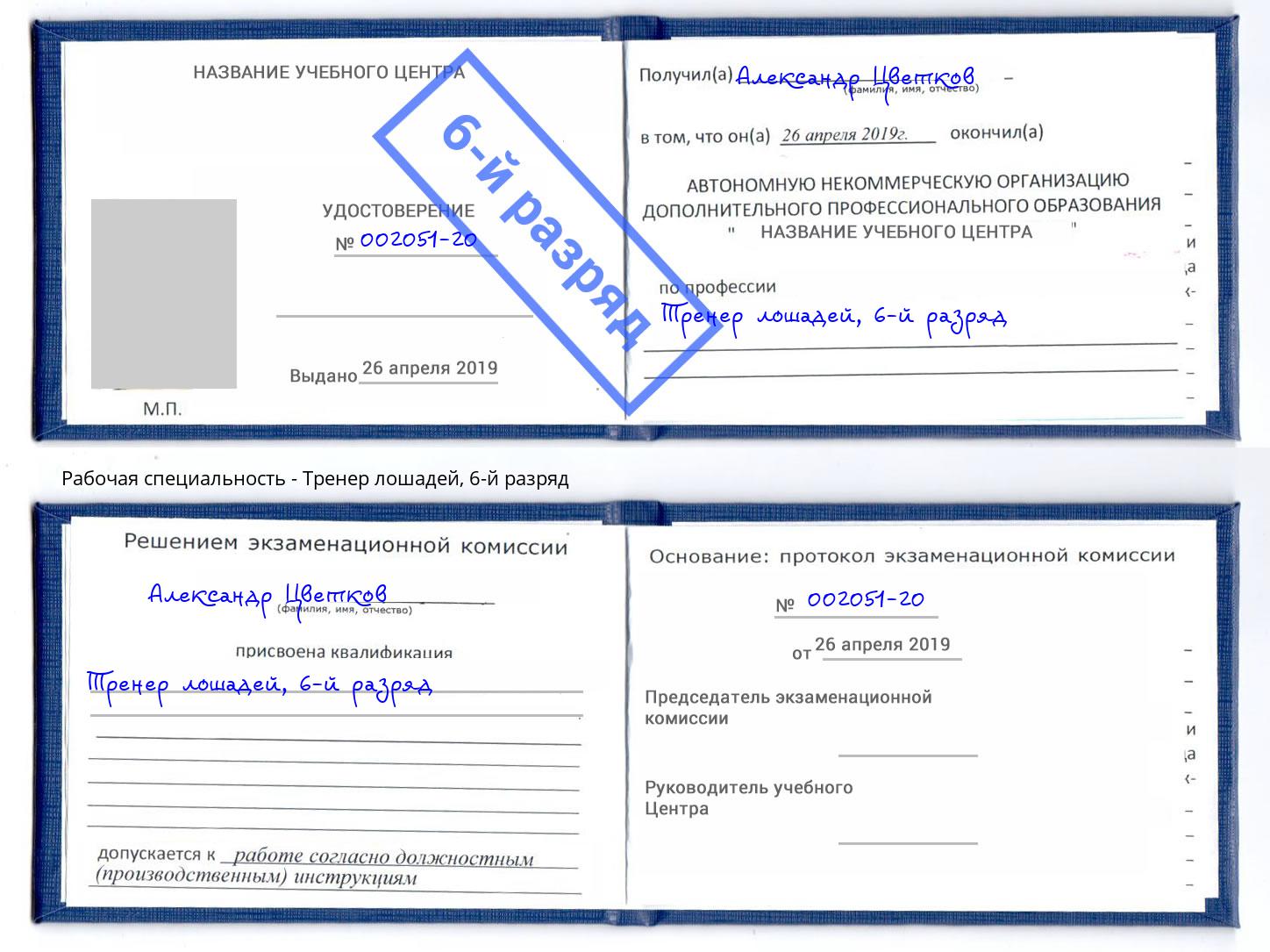 корочка 6-й разряд Тренер лошадей Кызыл
