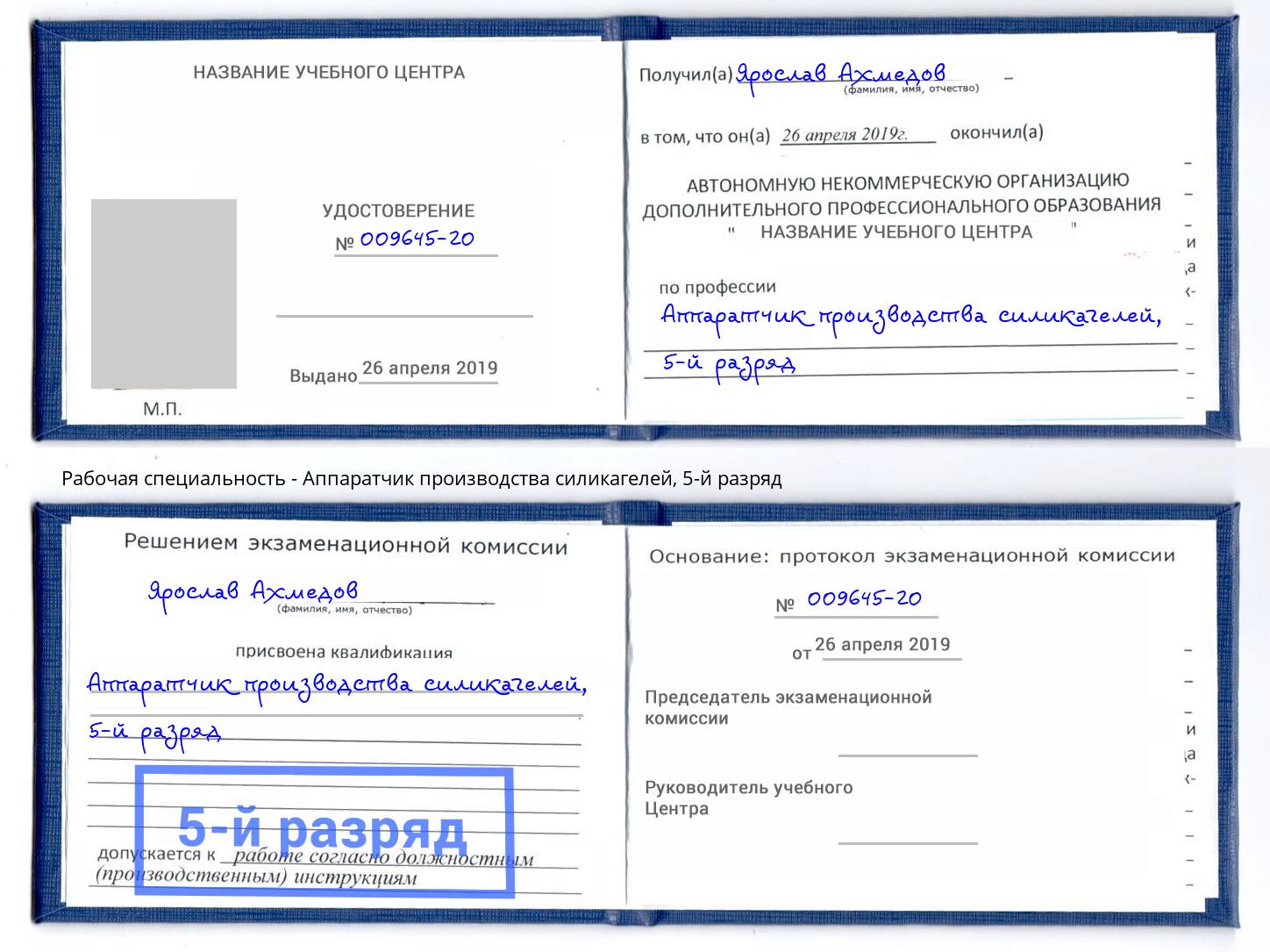 корочка 5-й разряд Аппаратчик производства силикагелей Кызыл